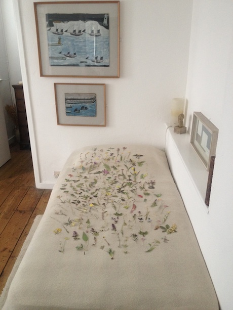 Annabel Dover intervention