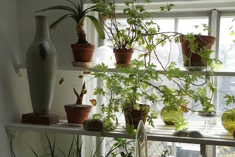 Photo by Jeremy Millar