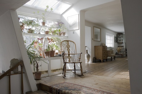 new photo plants copy